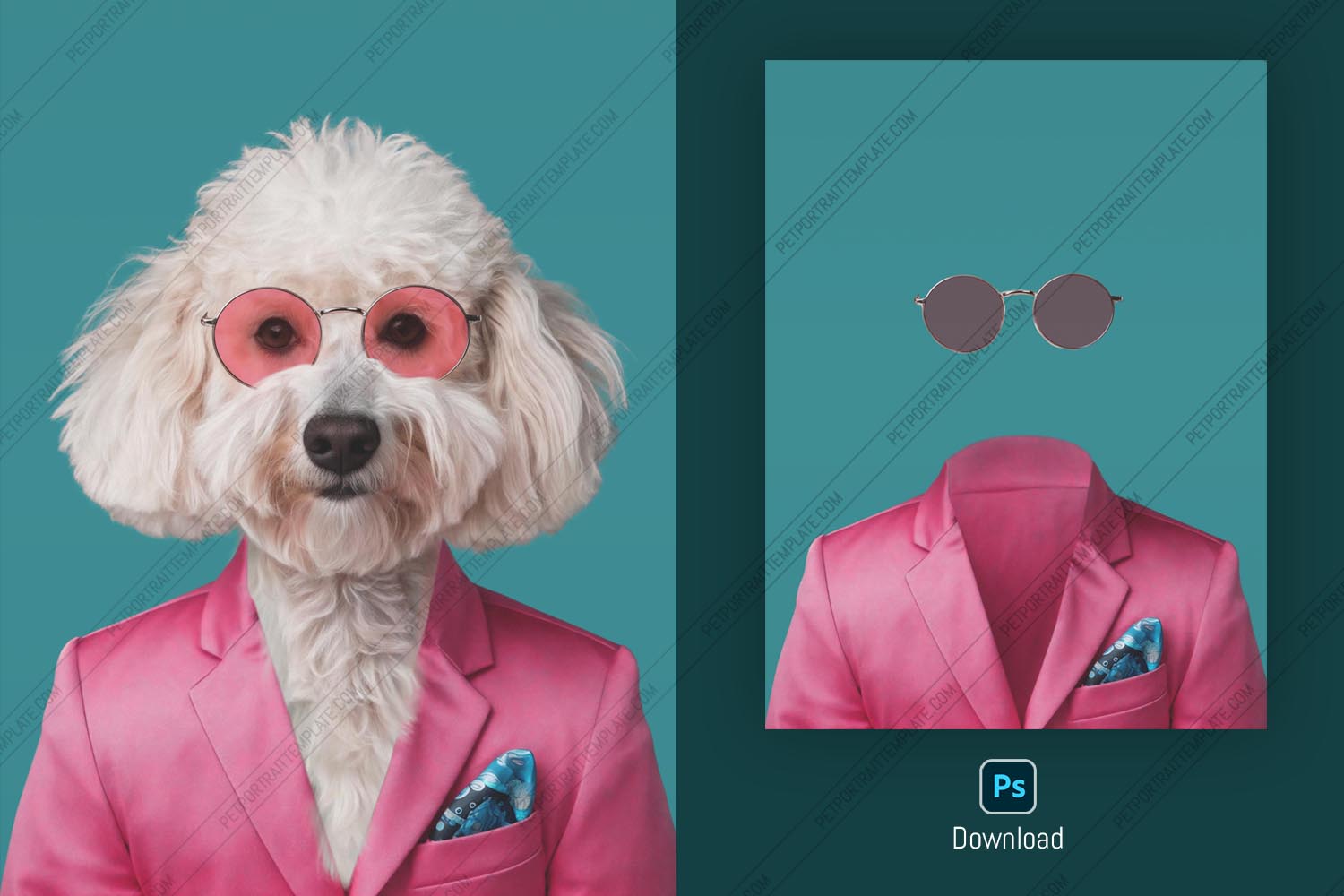 Customizable Pet Portrait PSD Template - Dog in Pink Suit & Glasses
