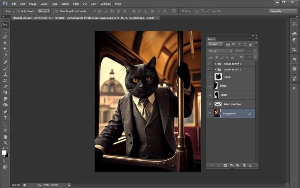 Screenshot of the Photoshop Layers panel displaying organized groups ‘Color Blend 1’, ‘Color Blend 2’ and individual layers labeled ‘HEAD’, two ‘HAND’ layers, ‘HEAD SHADOW’, plus a locked ‘Background’ layer.