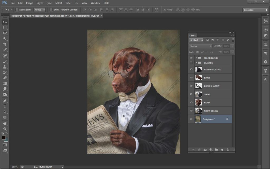 Photoshop layers panel showing organized groups - Background, Shirt, Head, Hand, Glasses, Color Blend—for a customizable pet portrait PSD template.